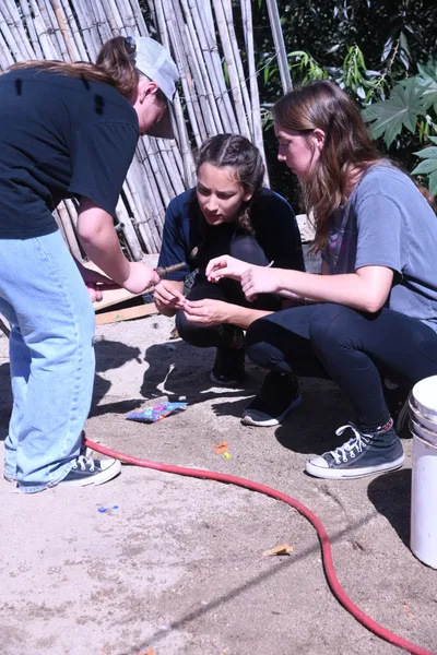 DSC_2040 (Large).JPG